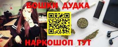 МДПВ Будённовск